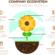 Company Ecosystem